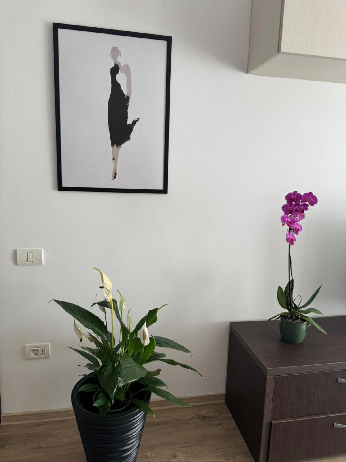 בראשוב Apart Mihai Viteazu Residence מראה חיצוני תמונה